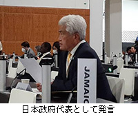 写真：日本政府代表として発言