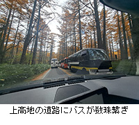 ʐ^F㍂n̓HɃoXq