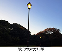 写真：明治神宮の灯明