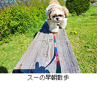 ʐ^FX[̑U