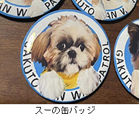 ʐ^FX[̊ʃobW