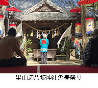 ʐ^FRӔ_Ђ̏tՂ