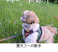 ʐ^FX[̎U