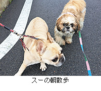 ʐ^FX[̒U
