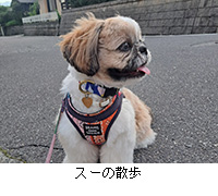 ʐ^FX[̎U