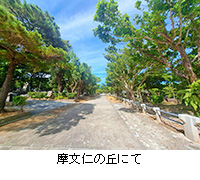 ʐ^Fm̋uɂ
