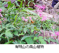 ʐ^FLR̍RA