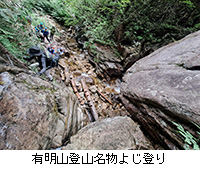 ʐ^FLRoR悶o