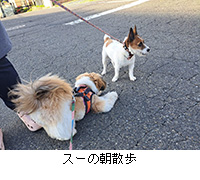 ʐ^FX[̒U