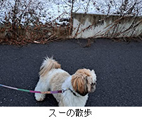 ʐ^FX[̎U