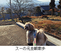 ʐ^FX[̌UU