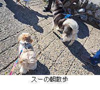 ʐ^FX[̒U