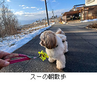 ʐ^FX[̒U