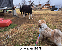 ʐ^FX[̒U