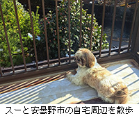 ʐ^FX[ƈܖs̎ӂU