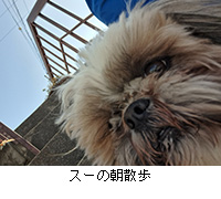 ʐ^FX[̒U