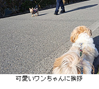 ʐ^FɈA