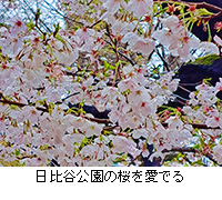 ʐ^FJ̍ł