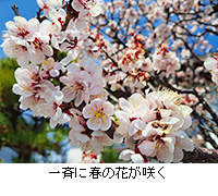 ʐ^FĂɏt̉Ԃ炭