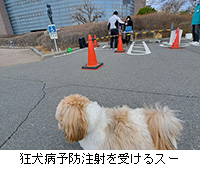 ʐ^Fa\h˂󂯂X[