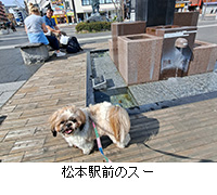 ʐ^F{wÕX[