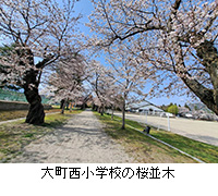 ʐ^F咬wZ̍