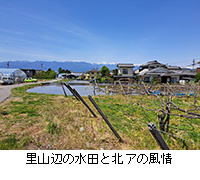 ʐ^FRӂ̐cƖkA̕