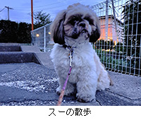 ʐ^FX[̎U