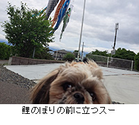 ʐ^F̂ڂ̑OɗX[