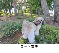 ʐ^FX[ƎU