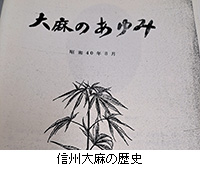 ʐ^FMB喃̗j