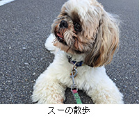 ʐ^FX[̎U