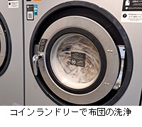 ʐ^FRCh[ŕzc̐