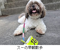ʐ^FX[̑U