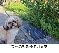 ʐ^FX[̒UŌ
