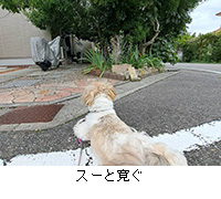 ʐ^FX[Ɗ