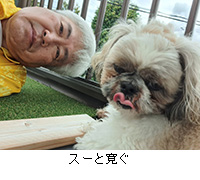 ʐ^FX[Ɗ
