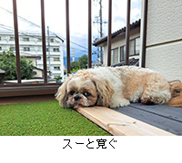 ʐ^FX[Ɗ