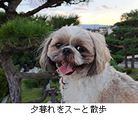 ʐ^F[X[ƎU