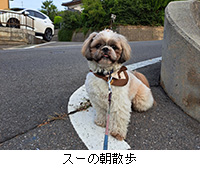 ʐ^FX[̒U