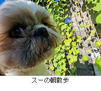 ʐ^FX[̒U