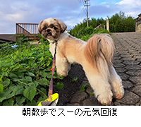 ʐ^FUŃX[̌C