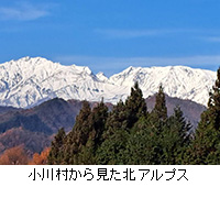 写真:小川村から見た北アルプス