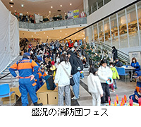 �ʐ^�F�����̏��h�c�t�F�X