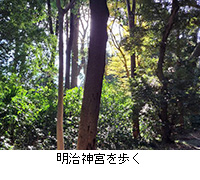 �ʐ^�F�����_�{�����