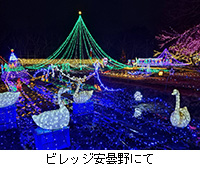 �ʐ^�F�r���b�W���ܖ�ɂ�