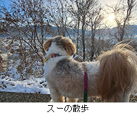 �ʐ^�F�X�[�̎U��