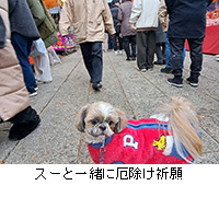 �ʐ^�F�X�[�ƈꏏ�ɖ���F��