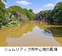 �ʐ^�F�V�������A�b�v�s���S�n�̕���