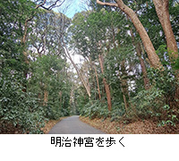 �ʐ^�F�����_�{�����